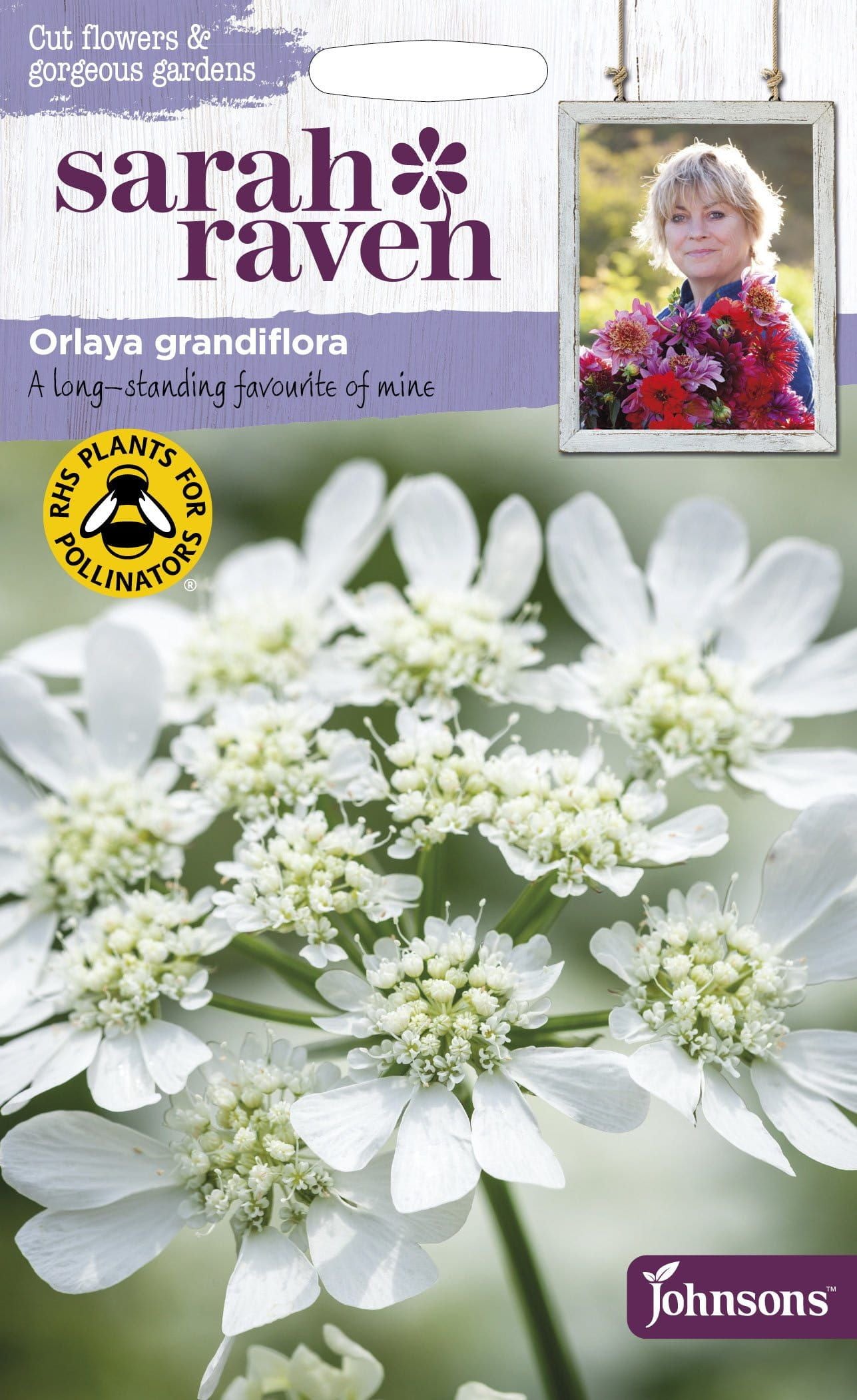 Johnson Seeds - Sarah Raven Flower - Orlaya Grandiflora - 25 Seeds