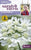Johnson Seeds - Sarah Raven Flower - Orlaya Grandiflora - 25 Seeds