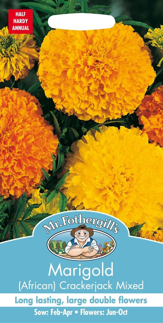 Mr Fothergills African Marigold Crackerjack Mixed 120 Seeds