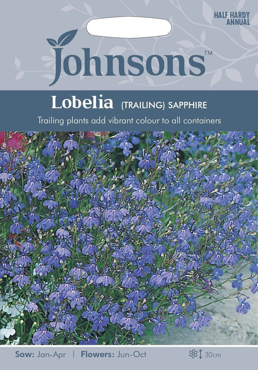 Johnsons Trailing Lobelia Sapphire 2000 Seeds