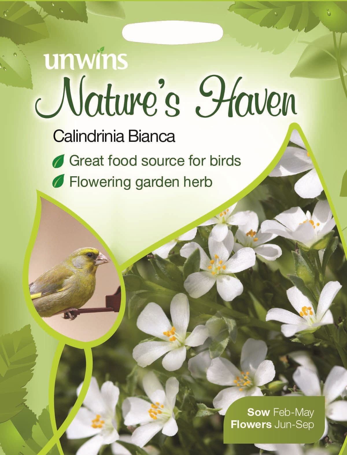 Unwins Nature's Haven Calindrinia Bianca 30 Seeds