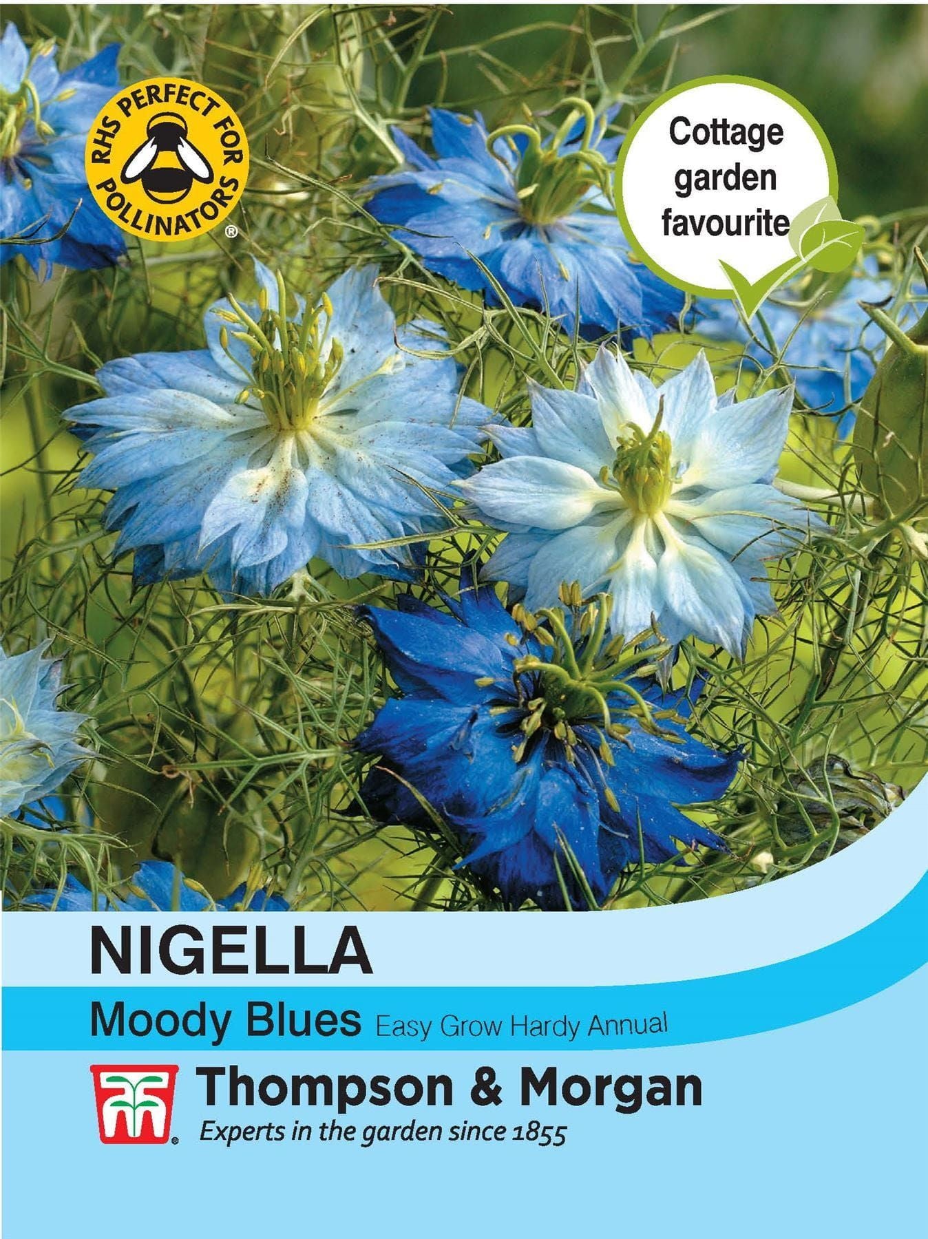 Thompson & Morgan Nigella Moody Blues 200 Seed