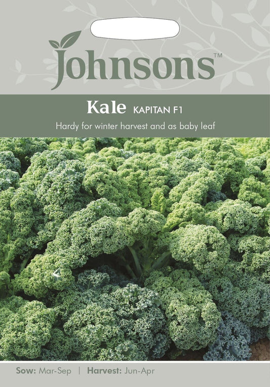 Johnsons Kale Kapitan F1 50 Seeds