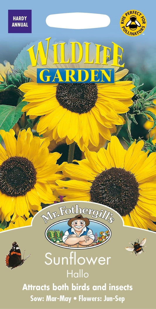 Mr Fothergills Sunflower Hallo 30 Seeds