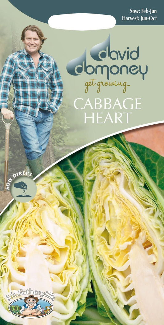 Mr Fothergills - David Domoney - Vegetable - Cabbage Heart - Dutchman F1 - 30 Seeds