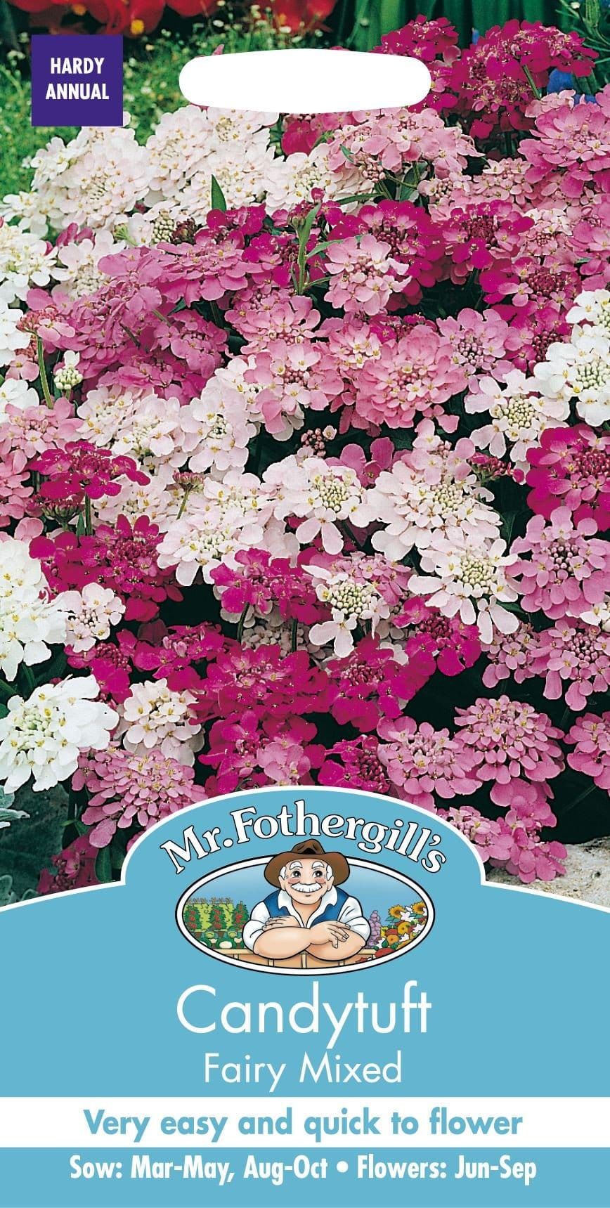 Mr Fothergills Candytuft Fairy Mixed 500 Seeds