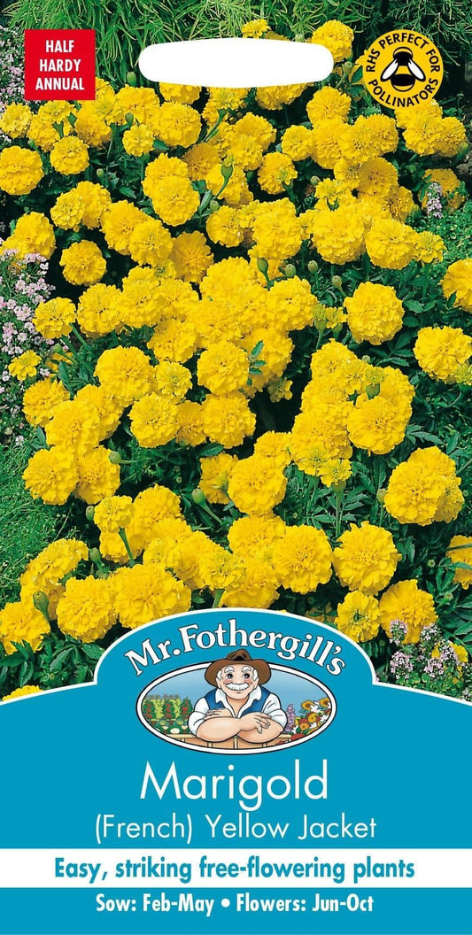 Mr Fothergills Marigold (French) Yellow Jacket 60 Seeds