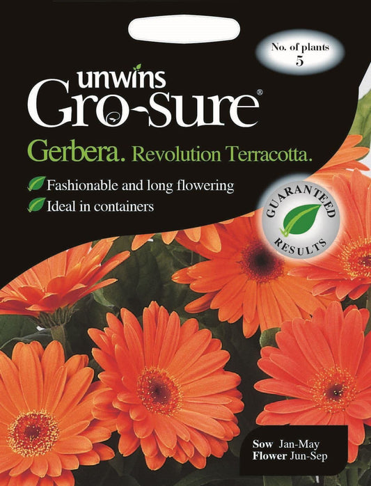 Unwins Gerbera Revolution Terracotta F1 5 Seeds