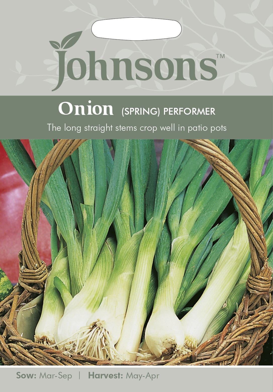 Johnsons Spring Onion Performer 250 Seeds