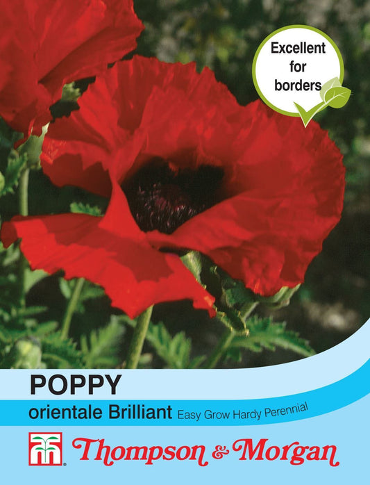 Thompson & Morgan Poppy Orientale Brilliant 180 Seed