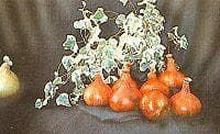 Exhibition Vegetable Robinsons Mammoth Red Onion 100 Seeds