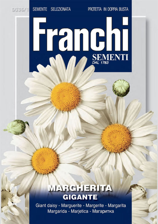 Franchi Seeds of Italy - Flower - FDBF_ 336-1 - Margherita - Gigante - Seeds