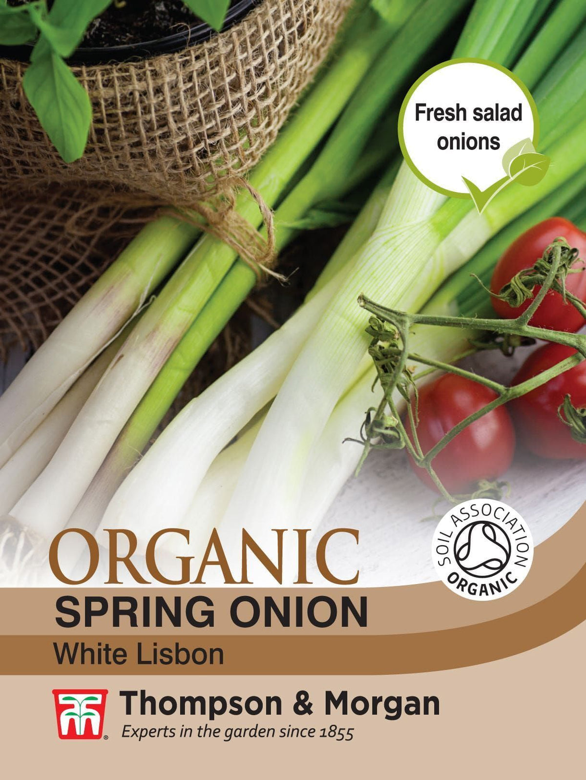 Thompson & Morgan - Organic - Spring Onion - White Lisbon - 350 Seeds