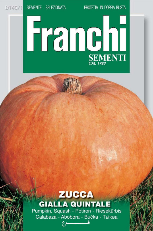 Franchi Seeds of Italy - DBO 145/1 - Pumpkin - Giallo Quintale Seme - Seeds