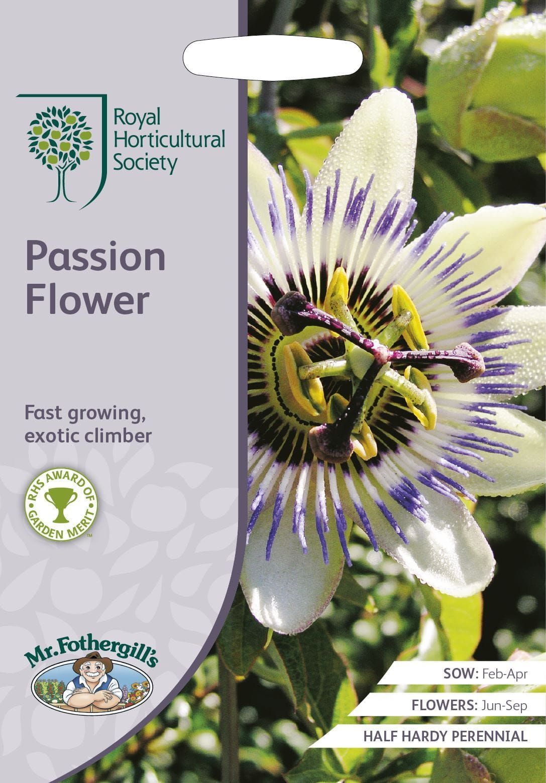 Mr Fothergills RHS Passion Flower Caerulea passiflora - 50 Seeds
