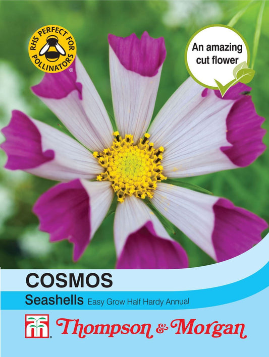 Thompson & Morgan Cosmos Seashells 100 Seed