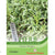 Thompson & Morgan Herb Russian Tarragon 350 Seed