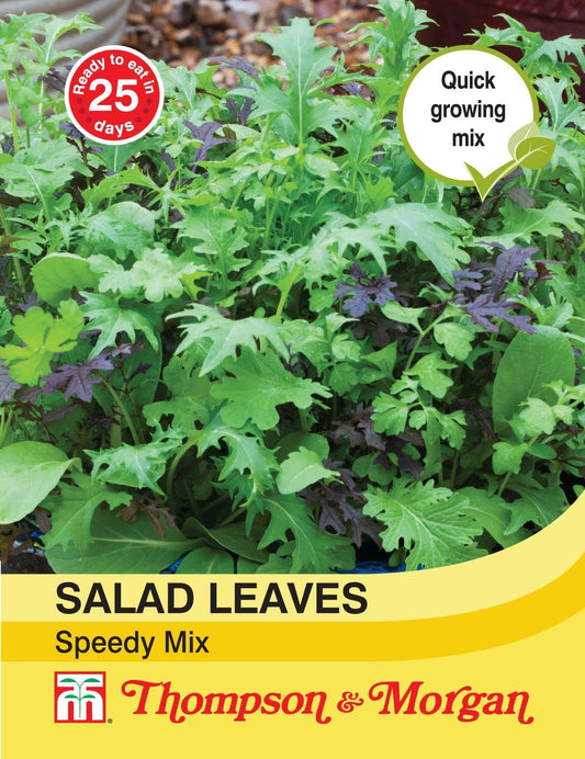Thompson & Morgan Salad Leaves Speedy Mix 500 Seed
