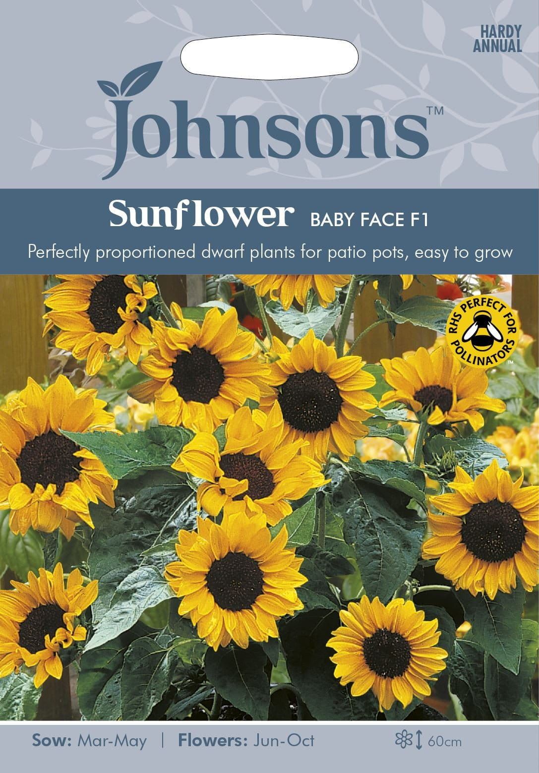 Johnsons Sunflower Baby Face F1 20 Seeds
