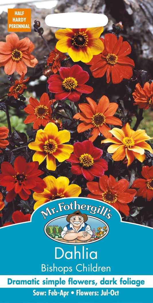 Mr Fothergills Dahlia Bishops Children 40 Seeds