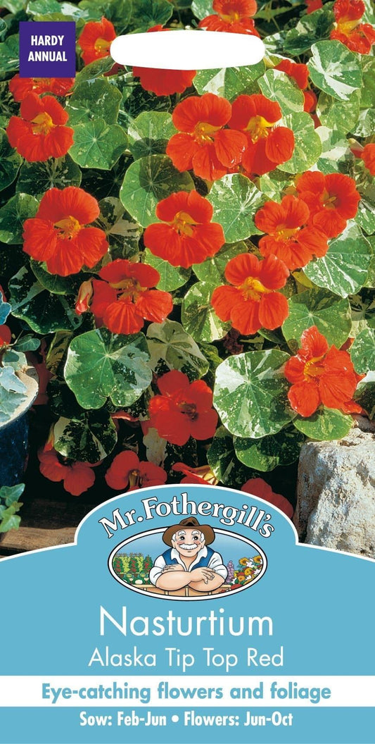 Mr Fothergills Nasturtium Alaska Tip Top Red 25 Seeds