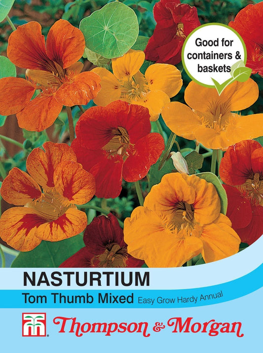Thompson & Morgan Nasturtium Tom Thumb Mixed 40 Seed