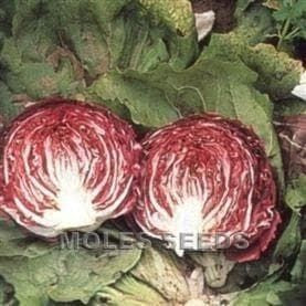 Radicchio Palla Rossa 3 - Seeds