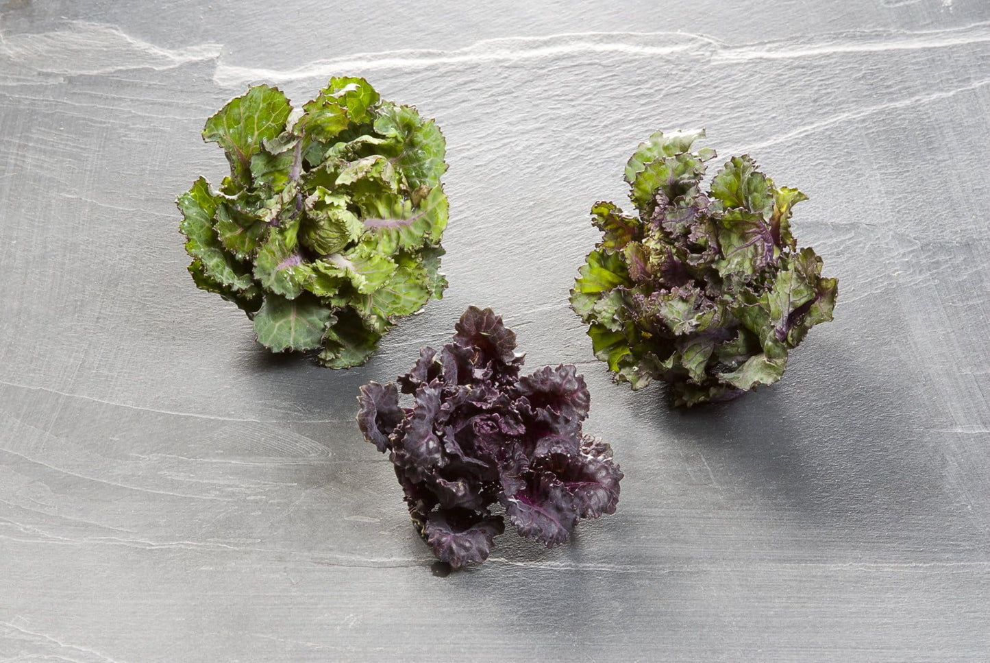 Flower Sprout Kalettes Seeds