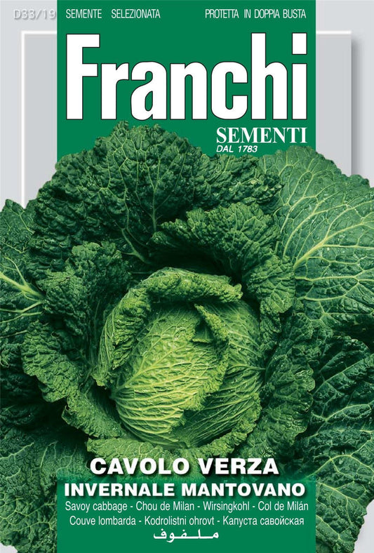 Franchi Seeds of Italy Savoy Cabbage Mantovano Seeds