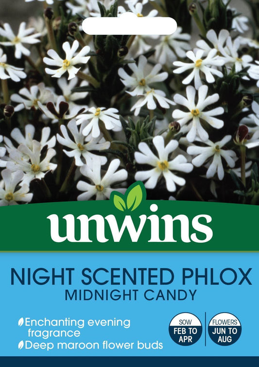 Unwins Night Phlox Midnight Candy 225 Seeds