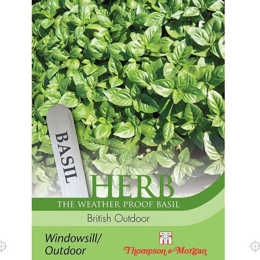 Thompson & Morgan - Herb - Basil - British Outdoor - 100 Seeds