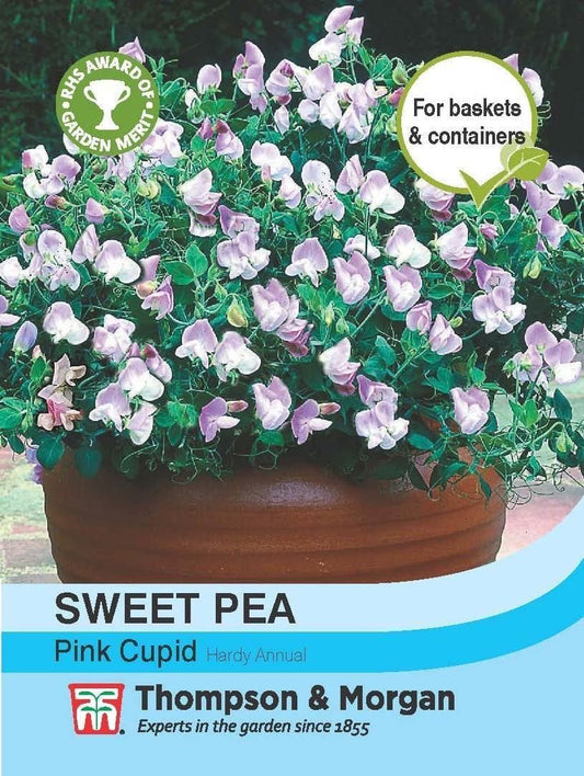 Thompson & Morgan Sweet Pea Pink Cupid 20 Seed