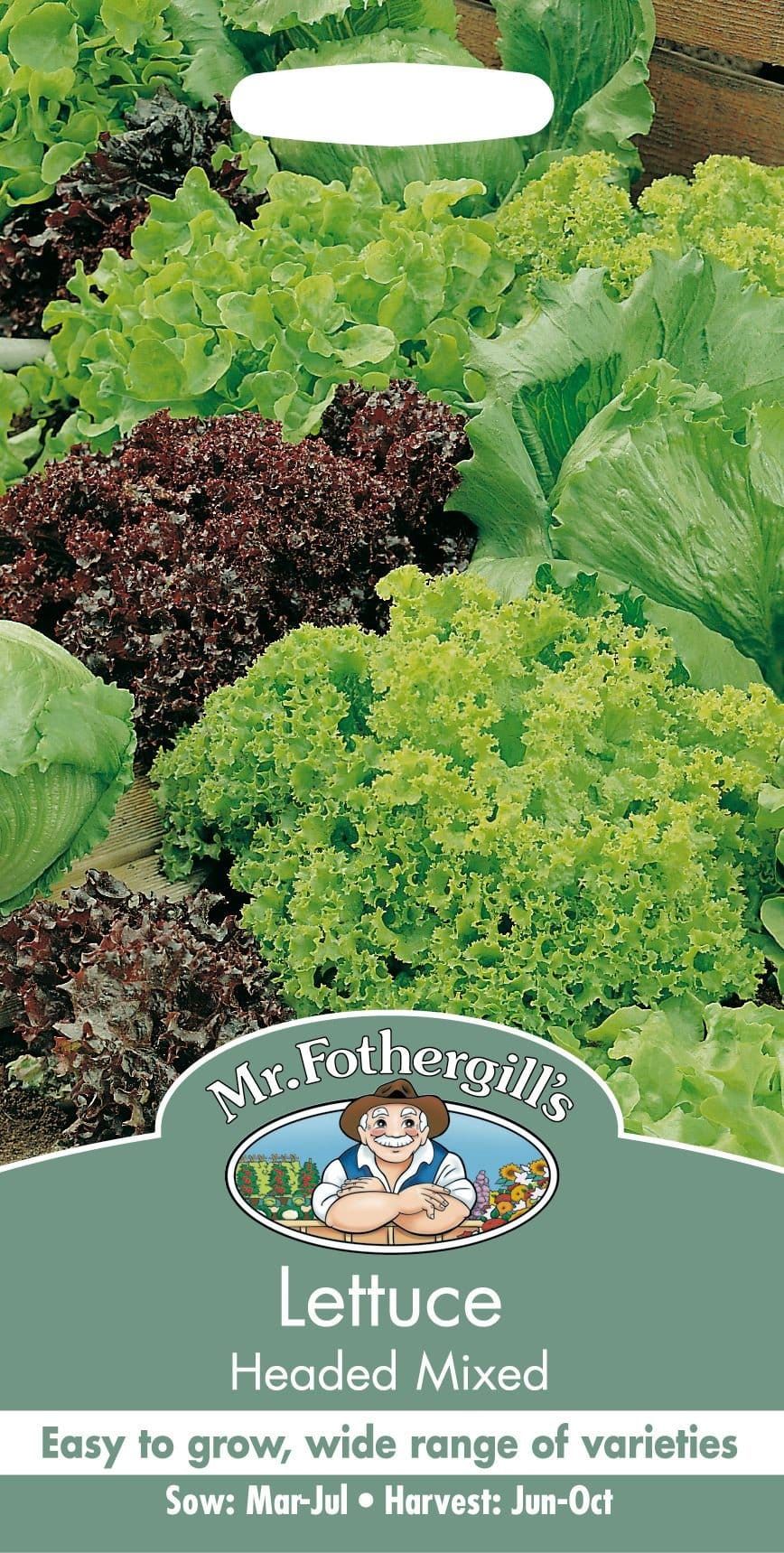 Mr Fothergills Lettuce Headed Mixed 1000 Seed