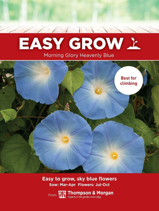 Thompson & Morgan - EasyGrow - Flower - Morning Glory - Heavenly Blue (Ipomoea) - 20 Seeds