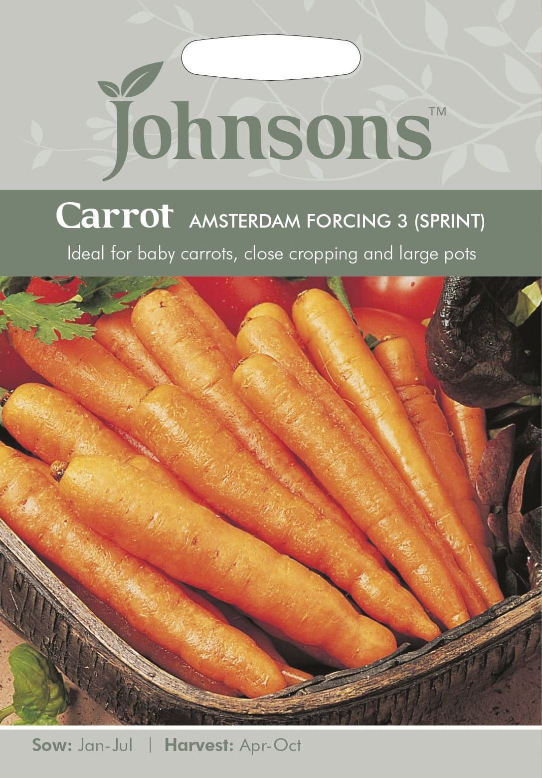Johnsons Carrot Amsterdam Forcing 3 Sprint 1500 Seeds