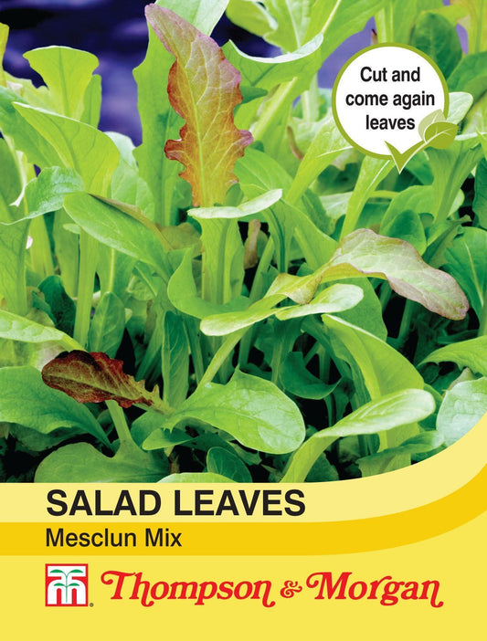 Thompson & Morgan Salad Leaves Mesclun Mixed 500 Seed