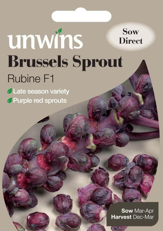 Unwins Brussels Sprout Rubine 50 Seeds