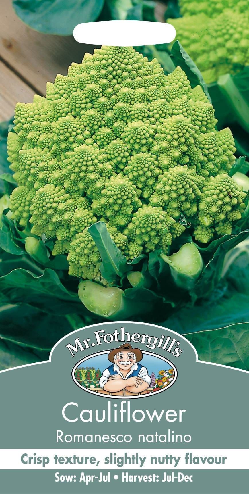 Mr Fothergills Cauliflower Romanesco Natalino 250 Seeds