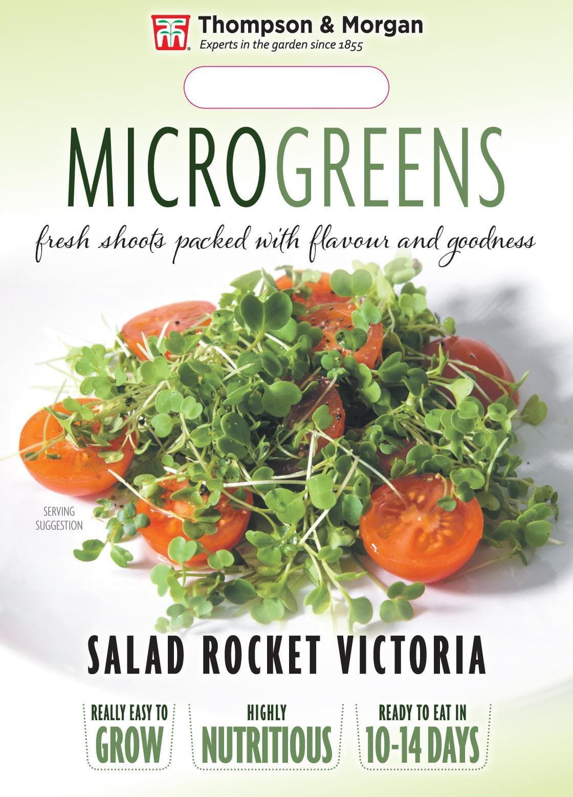 Thompson & Morgan Vegetable Microgreens Salad Rocket Victoria  - 300 Seeds