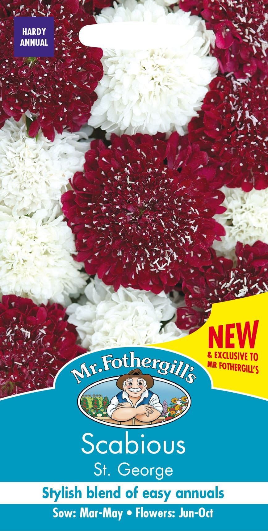 Mr Fothergills Scabious St George Mixed 35 Seeds