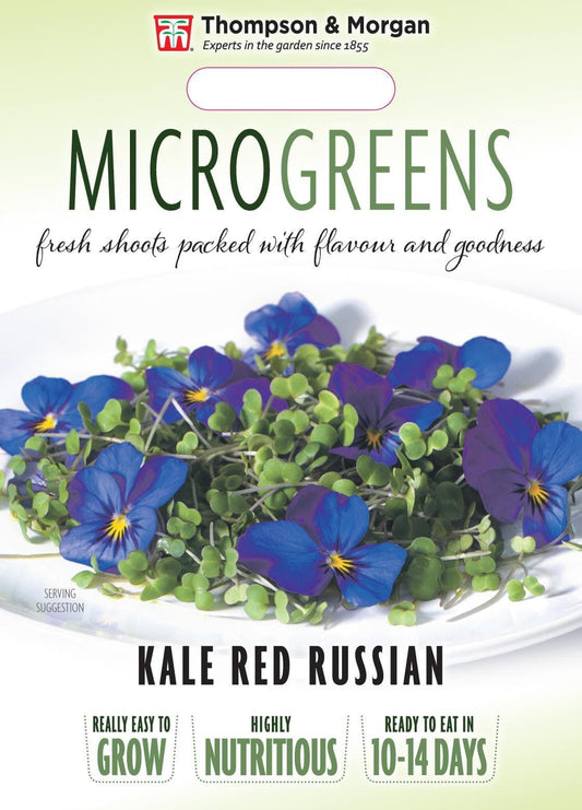Thompson & Morgan Vegetable Microgreens Kale Red Russian  - 300 Seeds