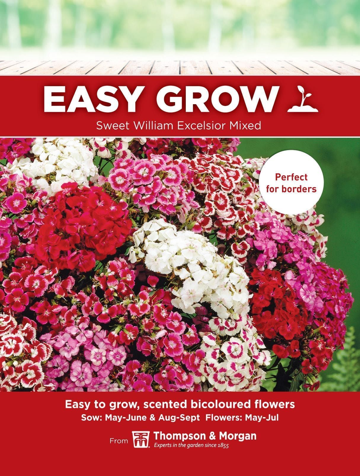 Thompson & Morgan - EasyGrow - Flower - Sweet William - Excelsior Mixed - 250 Seeds