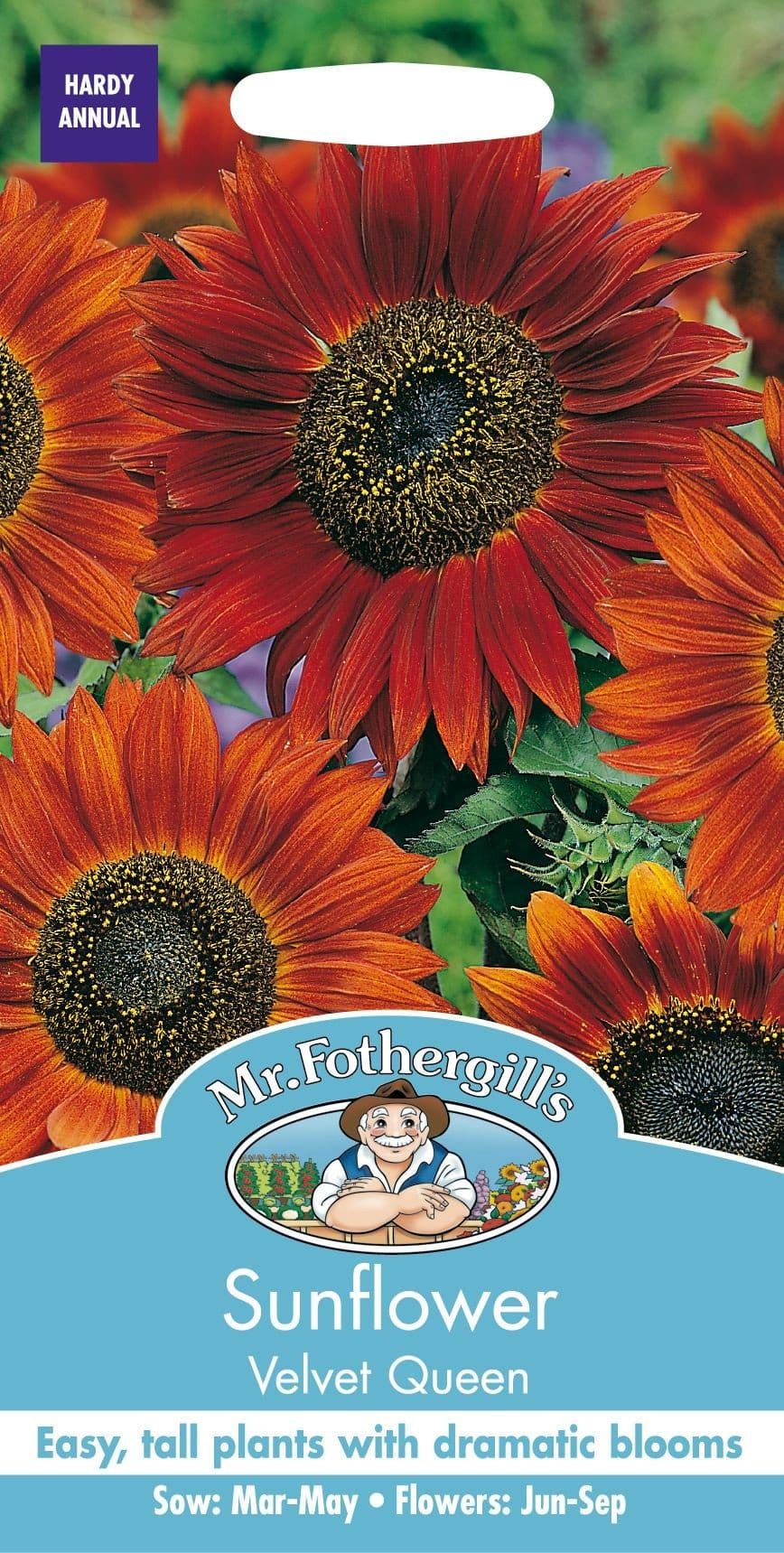 Mr Fothergills Sunflower Velvet Queen 30 Seeds