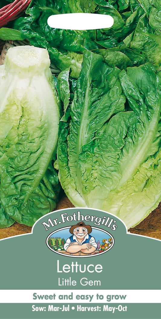 Mr Fothergills Lettuce Little Gem 1250 Seeds