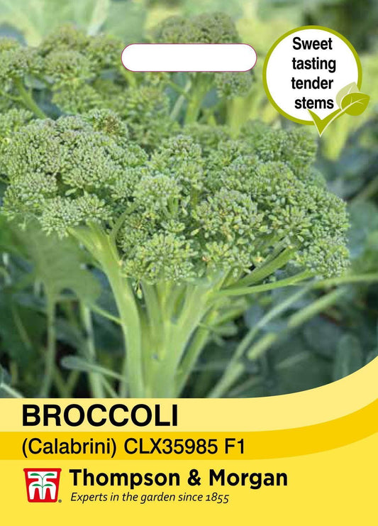 Thompson & Morgan Vegetable Broccoli calebrini Sweet Returns - 10 Seeds