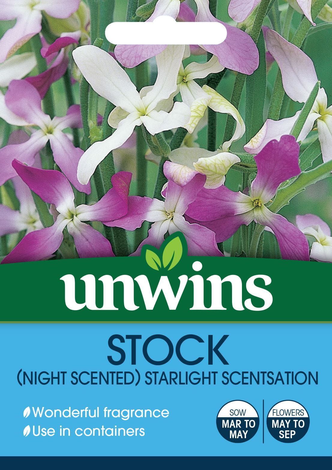 Unwins Stock Night Scented Starlight Scentsation 1300 Seeds