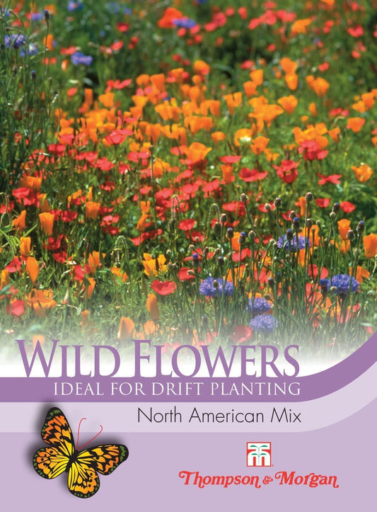 Thompson & Morgan Wild Flower North American Mix 2 Gram Seeds