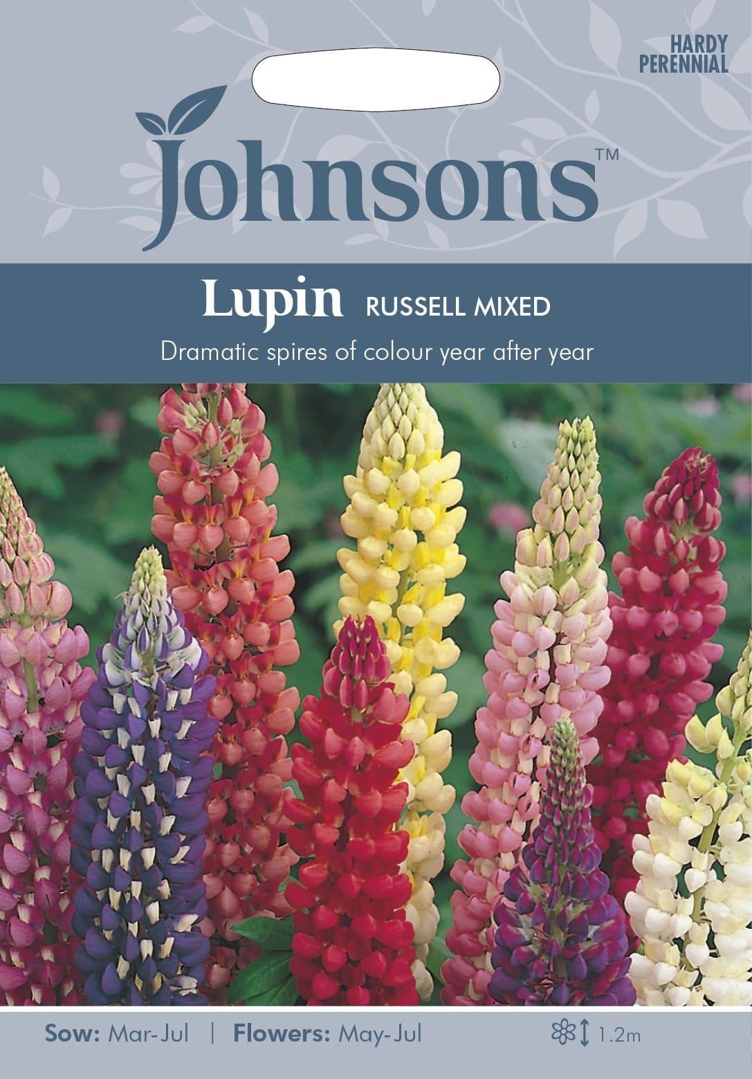 Johnsons Lupin Russell Mixed 60 Seeds