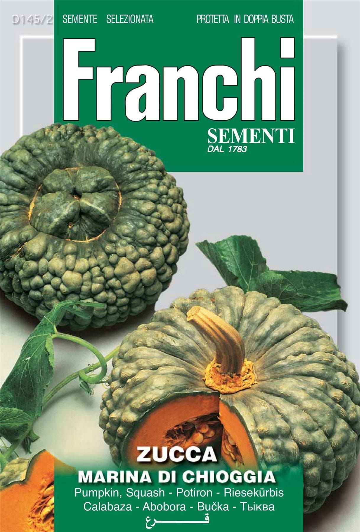 Franchi Seeds of Italy Pumpkin Marina Di Chioggia Seeds