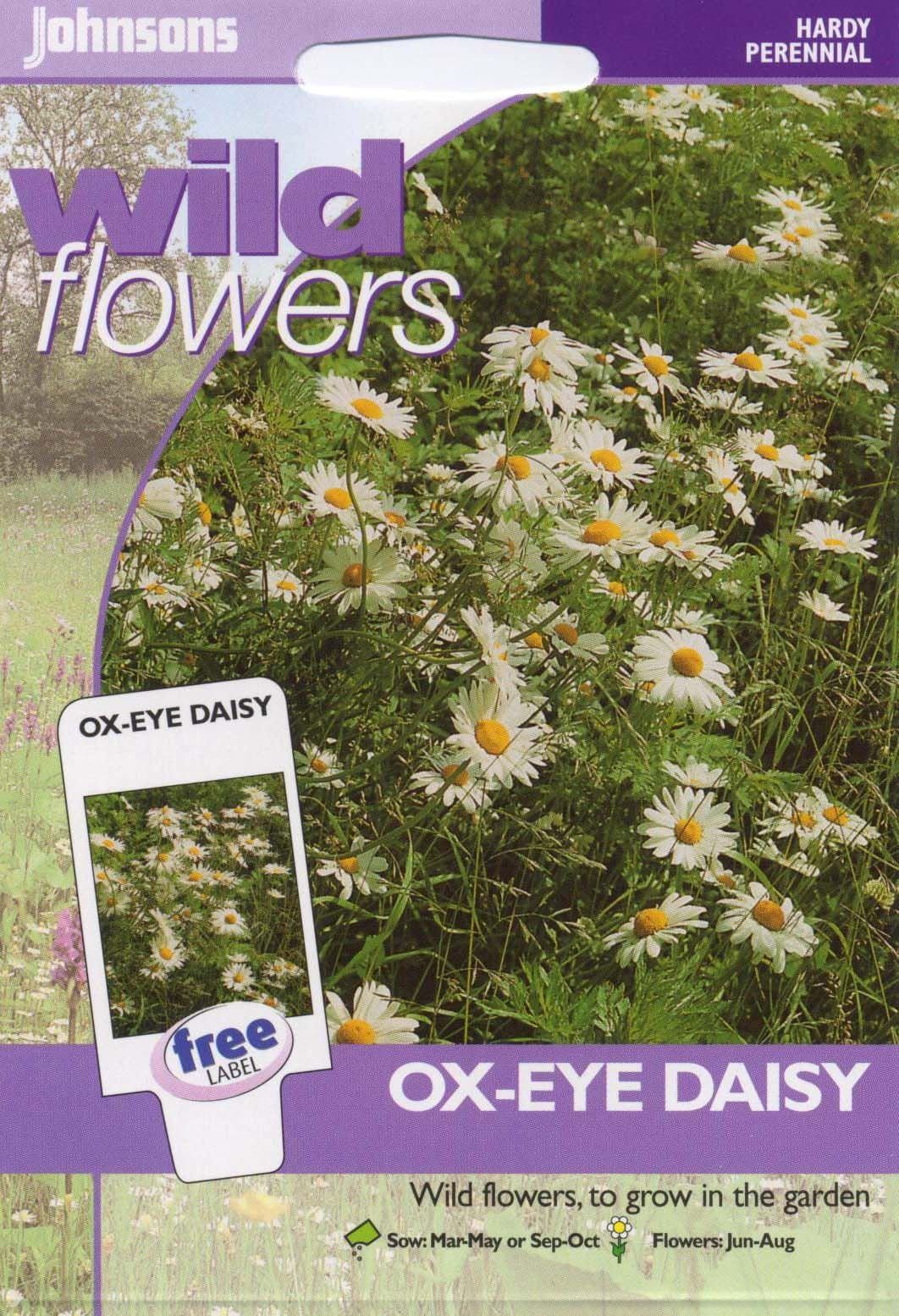 Johnsons Wildflower Ox Eye Daisy 750 Seeds